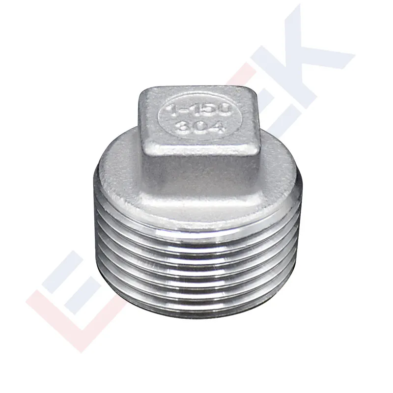 Stainless Steel Threaded Plug